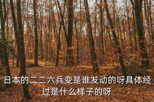 日本的二二六兵變是誰發動的呀具體經過是什么樣子的呀