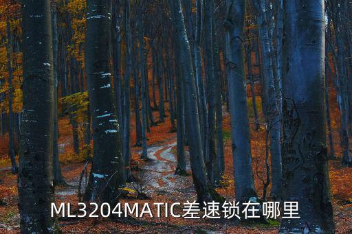 ml320,后輪軸中央凸起裝有差速器的地方