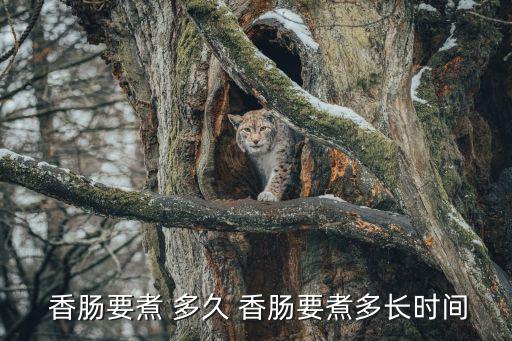  香腸要煮 多久 香腸要煮多長時間