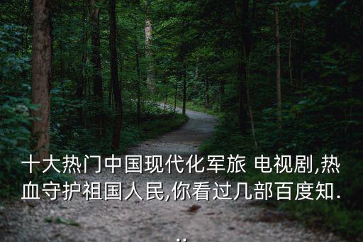 現(xiàn)代電視劇,突擊突擊第二集:特種兵、戰(zhàn)士、闖關(guān)東殺島等
