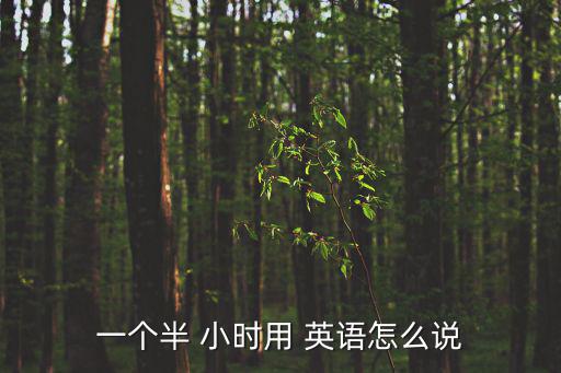 一個(gè)半 小時(shí)用 英語怎么說