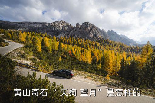 天狗望月的意思,天狗望月黃山巨石變狗
