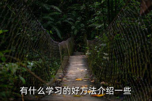 有什么學習的好方法介紹一些