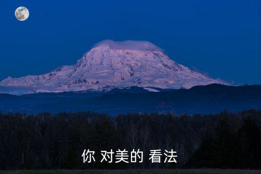 你 對美的 看法