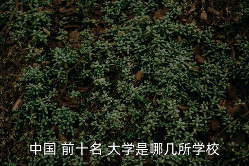 中國前十大學,中國十所重點大學排名出爐