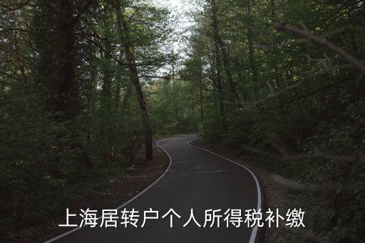 上海居轉(zhuǎn)戶個(gè)人所得稅補(bǔ)繳