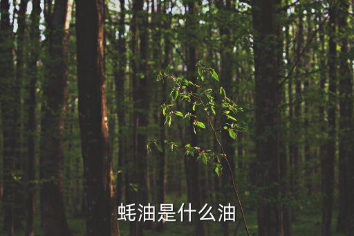 蠔油是什么油