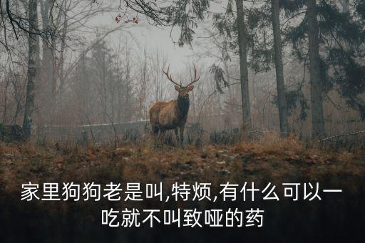 家里狗狗老是叫,特煩,有什么可以一吃就不叫致啞的藥