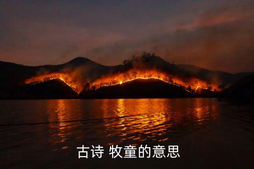  古詩 牧童的意思