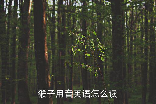 猴子用音英語怎么讀