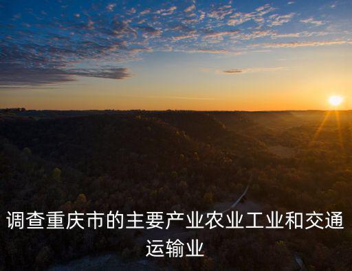 調(diào)查重慶市的主要產(chǎn)業(yè)農(nóng)業(yè)工業(yè)和交通運輸業(yè)