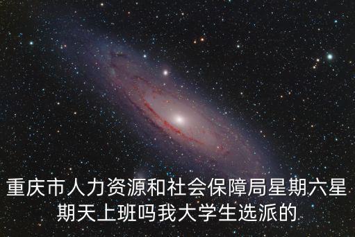 重慶市人力資源和社會保障局星期六星期天上班嗎我大學生選派的