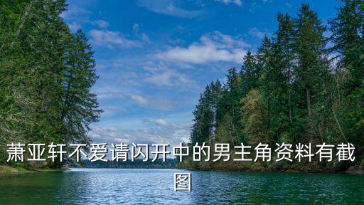蕭亞軒不愛請閃開中的男主角資料有截圖