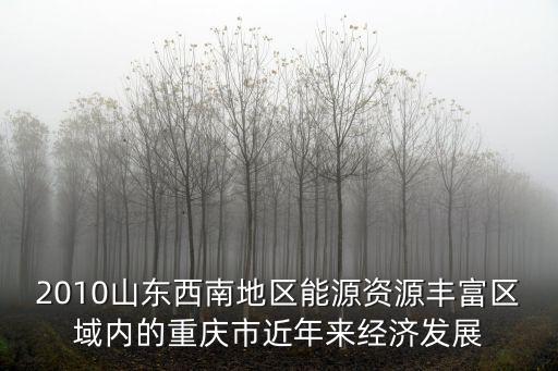 2010山東西南地區能源資源豐富區域內的重慶市近年來經濟發展