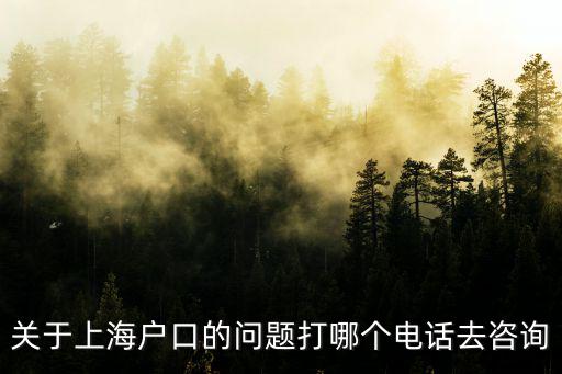 關于上海戶口的問題打哪個電話去咨詢
