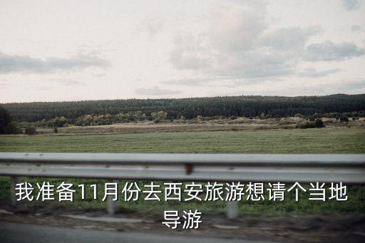 我準備11月份去西安旅游想請個當地導游