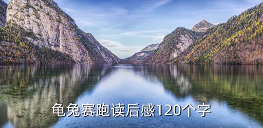 龜兔賽跑讀后感120個字