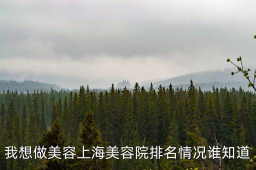 我想做美容上海美容院排名情況誰(shuí)知道