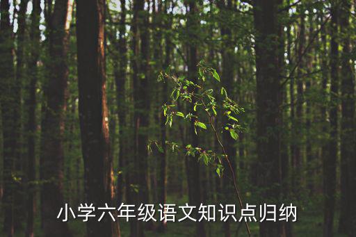 小學六年級語文知識點歸納