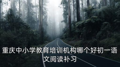 重慶中小學教育培訓機構哪個好初一語文閱讀補習