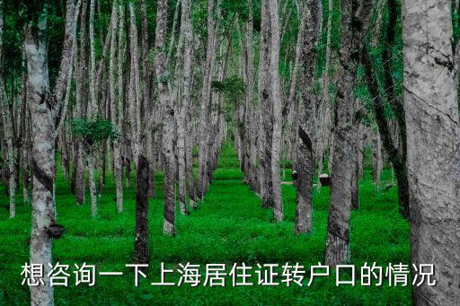想咨詢一下上海居住證轉戶口的情況