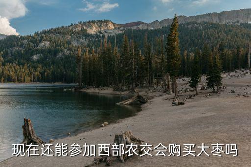 重慶市大壯電子商務有限公司，現在還能參加西部農交會購買大棗嗎