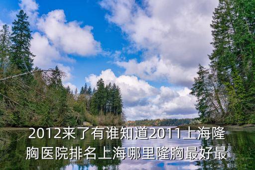 2012來(lái)了有誰(shuí)知道2011上海隆胸醫(yī)院排名上海哪里隆胸最好最