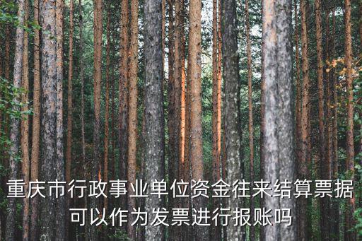 重慶市行政事業(yè)單位資金往來結算票據(jù)可以作為發(fā)票進行報賬嗎