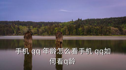 手機 qq 年齡怎么看手機 qq如何看q齡