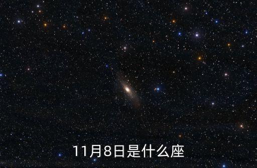 11月8日是什么座