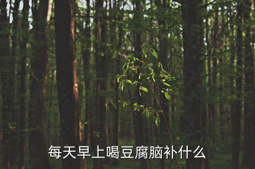豆腐腦的營養，喝豆腐腦有什么好處