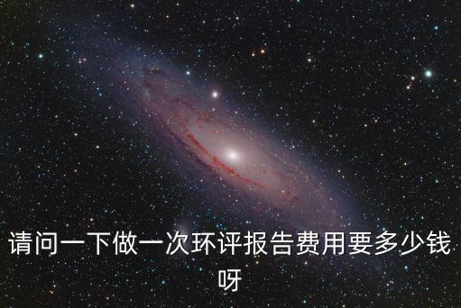 請問一下做一次環評報告費用要多少錢呀