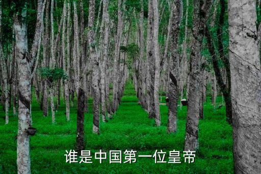 誰是中國第一位皇帝