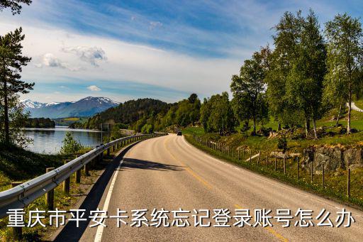 重慶市 平安卡管理系統，重慶市平安卡系統忘記登錄賬號怎么辦