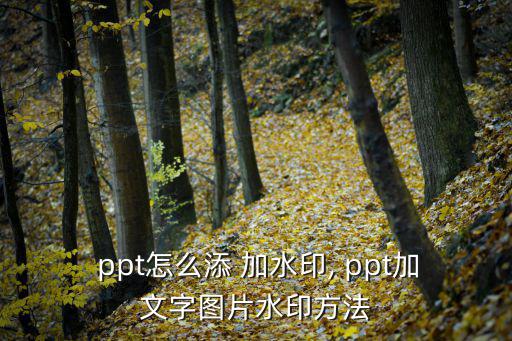ppt加水印,如何在幻燈片添加文字水印?
