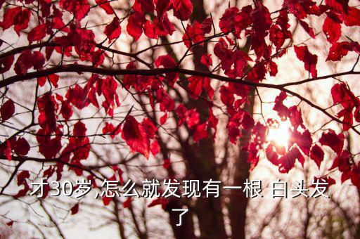 30歲長白頭發,營養缺乏導致頭發變白脫落或過早變白