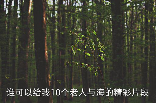誰可以給我10個老人與海的精彩片段