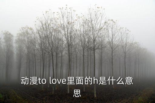 動漫to love里面的h是什么意思
