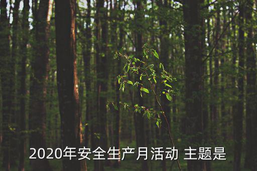 2020年安全生產(chǎn)月活動(dòng) 主題是