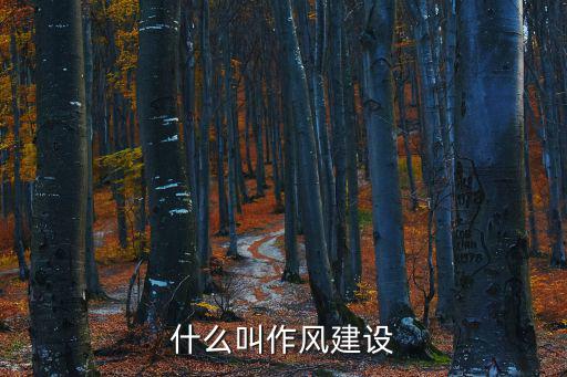 什么叫作風建設