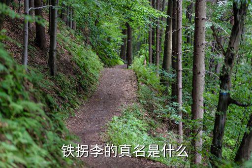 李鐵拐，鐵拐李的真名是什么