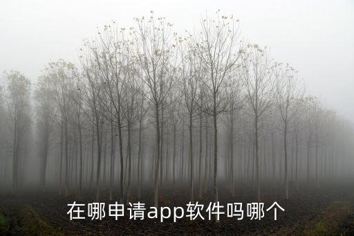 在哪申請app軟件嗎哪個