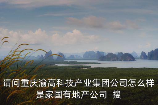 請問重慶渝高科技產業集團公司怎么樣是家國有地產公司  搜