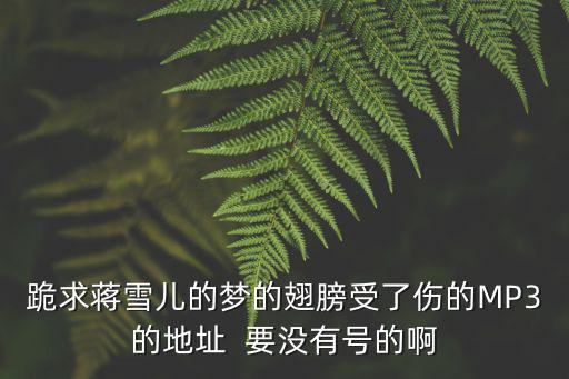 蔣雪兒的歌，誰在意我留下的淚 蔣雪兒的 誰有歌曲鏈接 速度啊