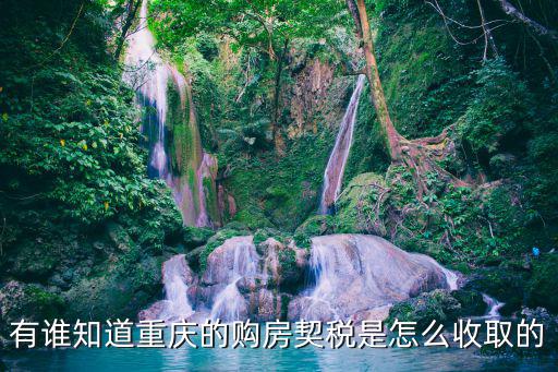 有誰知道重慶的購房契稅是怎么收取的