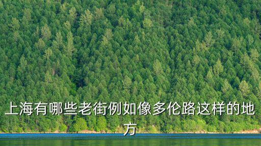 上海有哪些老街例如像多倫路這樣的地方