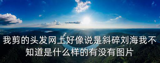 我剪的頭發網上好像說是斜碎劉海我不知道是什么樣的有沒有圖片