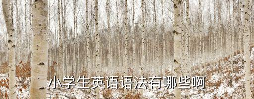 小學生英語語法有哪些啊