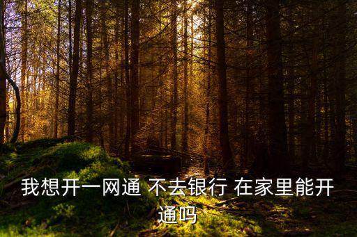 我想開一網通 不去銀行 在家里能開通嗎