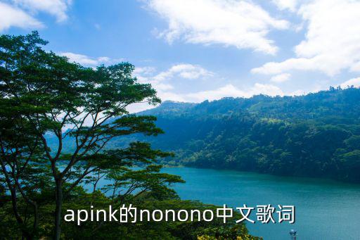 apink的nonono中文歌詞